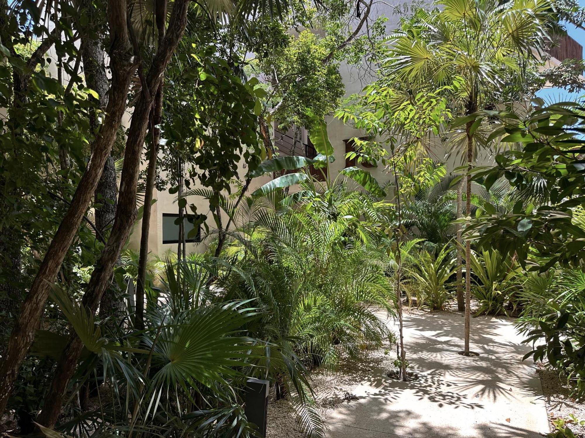 Ophelia Tulum Condo In Aldea Zama Экстерьер фото