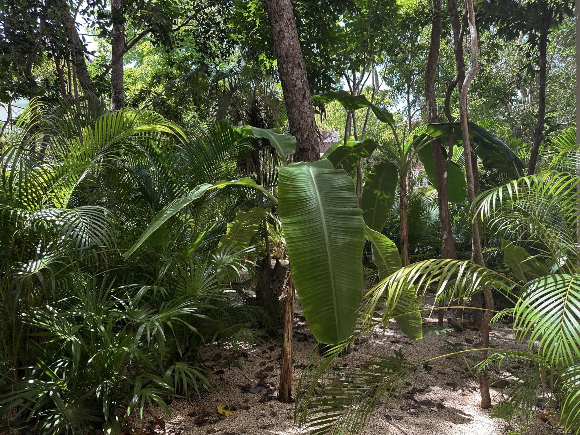 Ophelia Tulum Condo In Aldea Zama Экстерьер фото